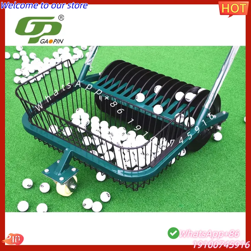 CECertificate Professional Gol - Golf Equipment Manufacturers recension och pris